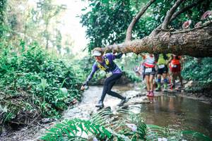 BIB: 
                            <button type="button" onclick="openModal(25459742)" class="btn btn-primary btn-sm float-right btn-popup" data-toggle="modal" data-target=".modal-high-quality">
                        <i class="fas fa-shopping-cart"></i> Add to Cart
                    </button>
                                            <button type="button" onclick="isThisMe(25459742, true)" class="btn btn-success btn-sm float-right btn-popup btn-isme hidden" data-toggle="tooltip" data-placement="bottom" title="นี่คือรูปของคุณใช่ไหม คลิกที่นี่เพื่อเอาเข้าอัลบั้ม">
                        <i class="fas fa-plus"></i> Add to album
                    </button>
                    <button type="button" onclick="isThisMe(25459742, false)" class="btn btn-warning btn-sm float-right btn-popup btn-isnotme hidden">
                        <i class="fas fa-ban"></i> Remove from album
                    </button>